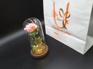 Rose éternelle dans un dôme de verre (rose)